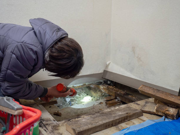 Best Mold Remediation for Healthcare Facilities  in Tuckerman, AR