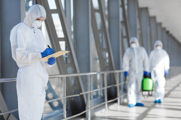 Best Mold Prevention Services  in Tuckerman, AR